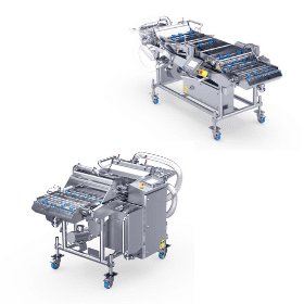 Pastellatrice di Alco