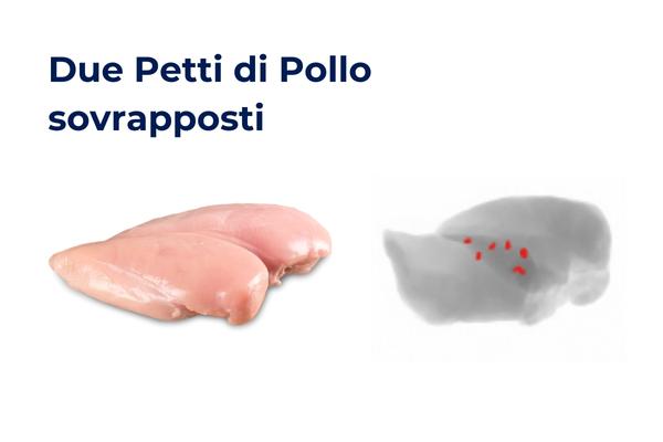 Rilevamento ossa petti di pollo