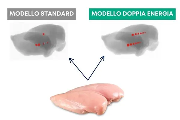 Ispezione Raggi X Pollo