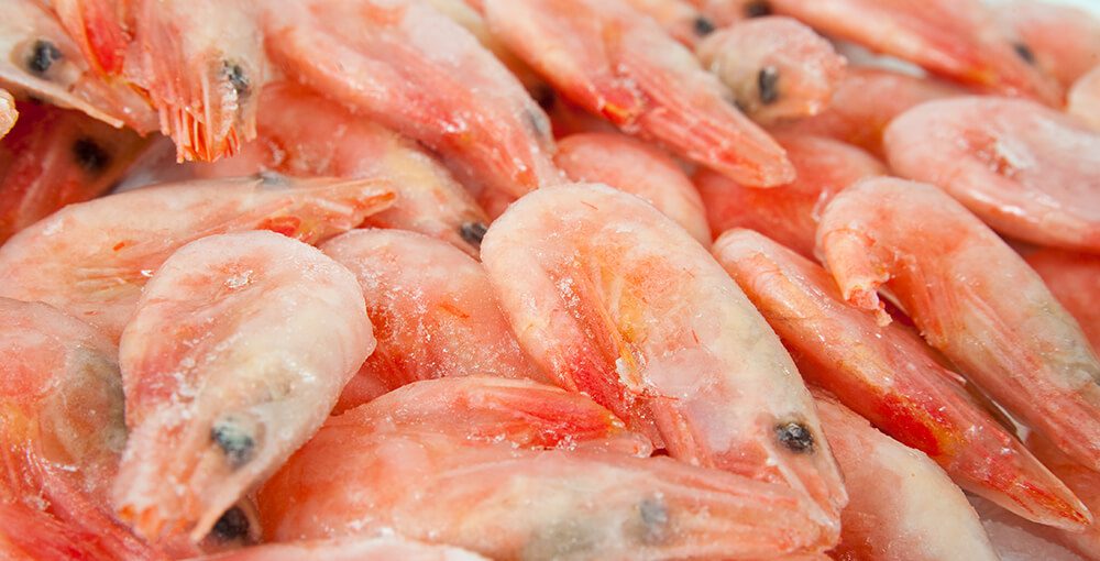 scongelamento rapido pesce