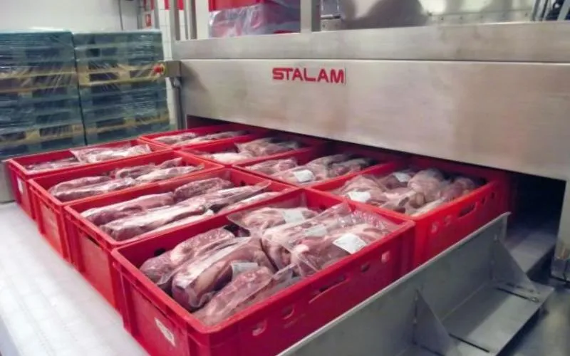 scongelamento rapido alimenti 