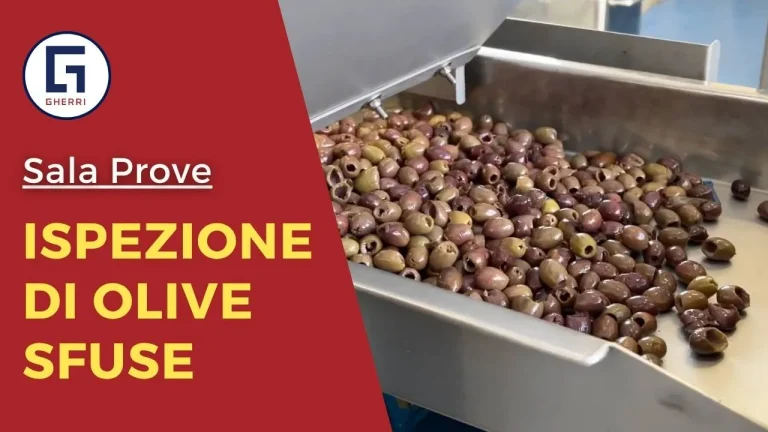 Sala prove Gherri durante ispezione qualità olive per analisi alimentare