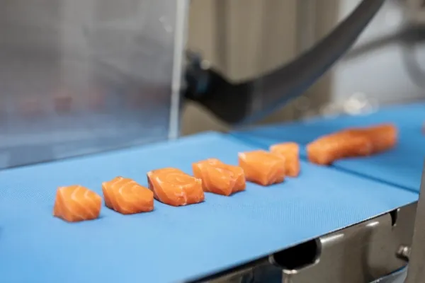 Porzionatrice per salmone