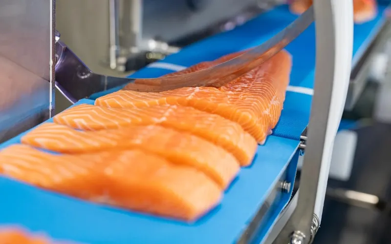Porzionare salmone