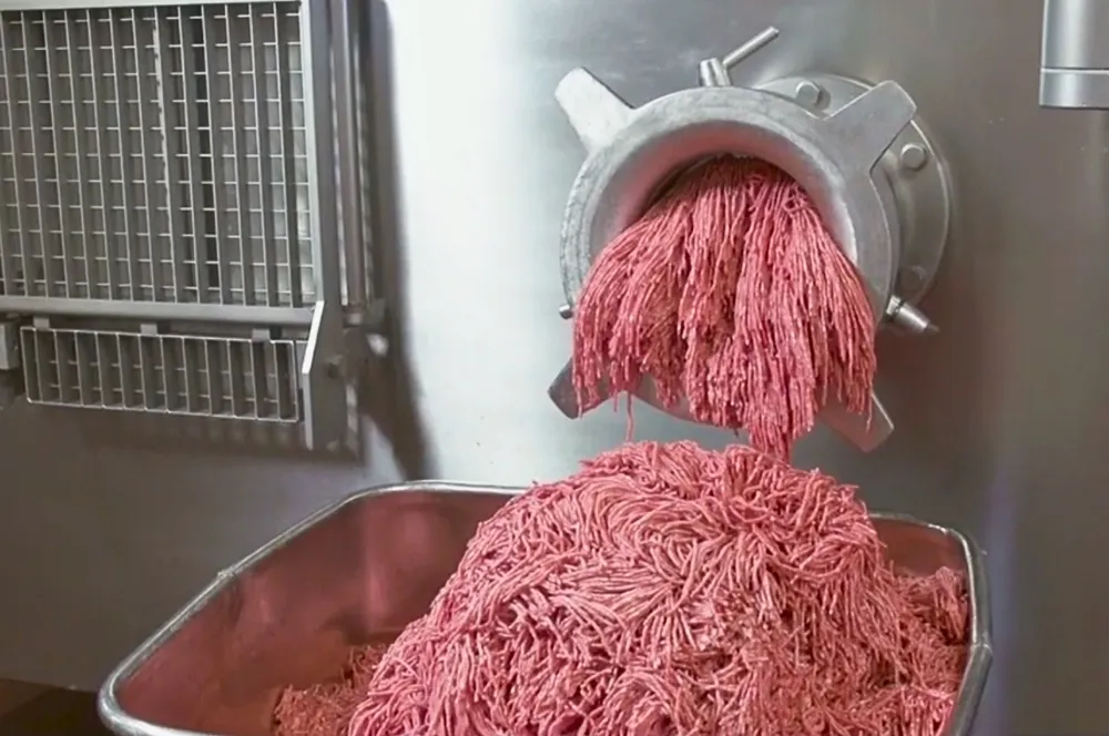 Tritacarne industriale carne fresca e carne congelata