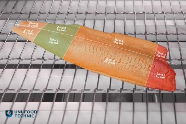 Salatura e Speziatura industriale pesce