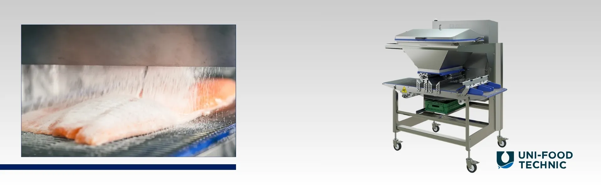 Applicatore automatico di sali e spezie Uni-Food Technic per filetti di salmone