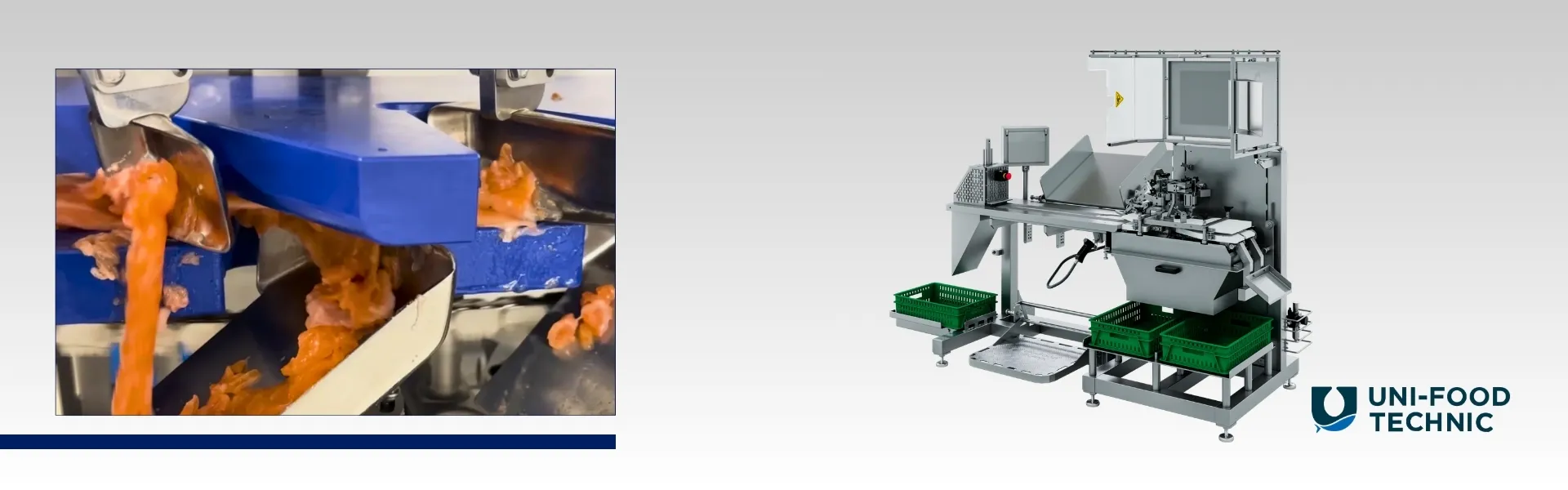 Raschiatrice automatica Uni-Food Technic S4 per il recupero della polpa di salmone