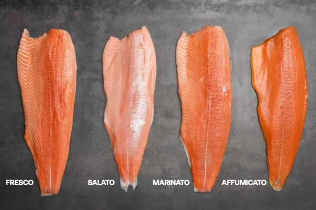 Filetti di salmone fresco, salato, marinato e affumicato a confronto