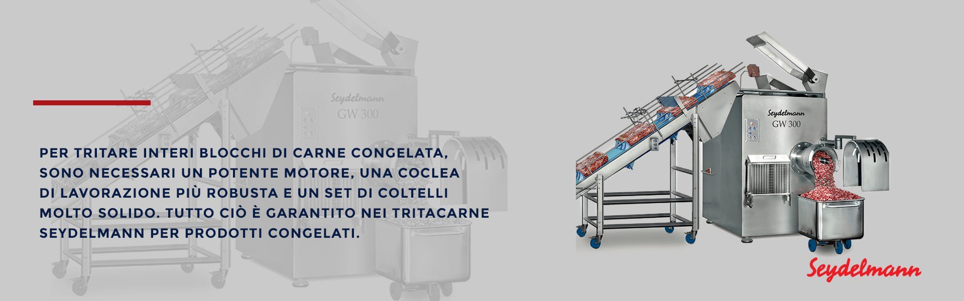 tritacarne per congelato Seydelmann