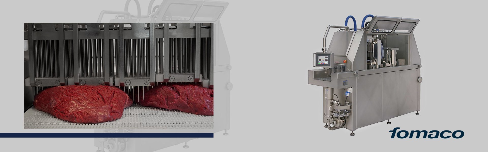 inteneritrice Fomaco