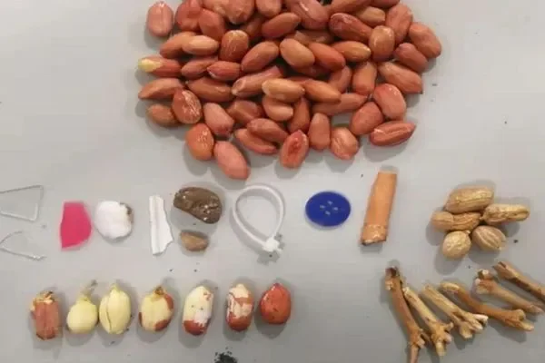 controllo qualità alimentare