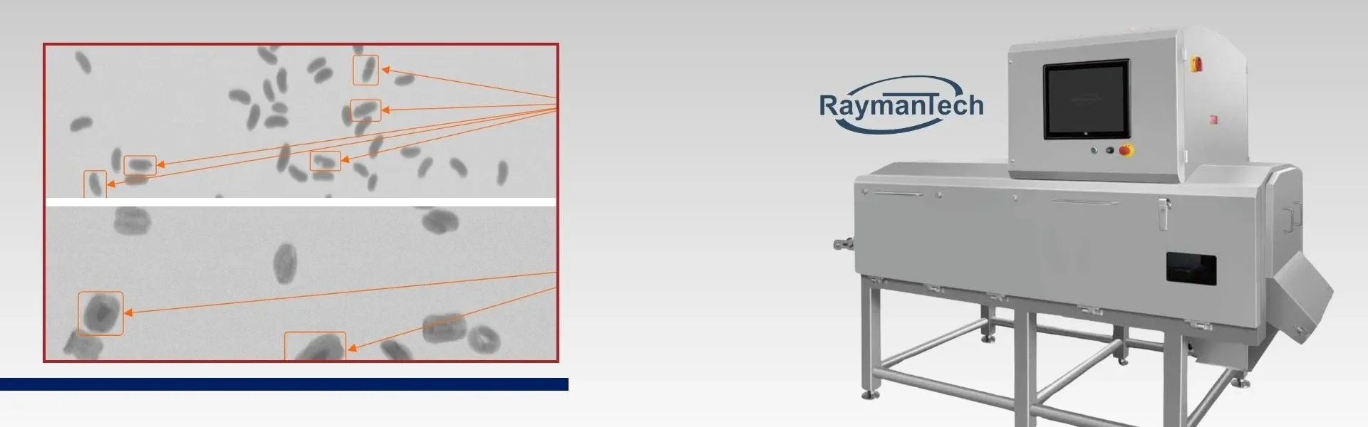 Copertina Raymantech ispezione a raggi x prodotti sfusi