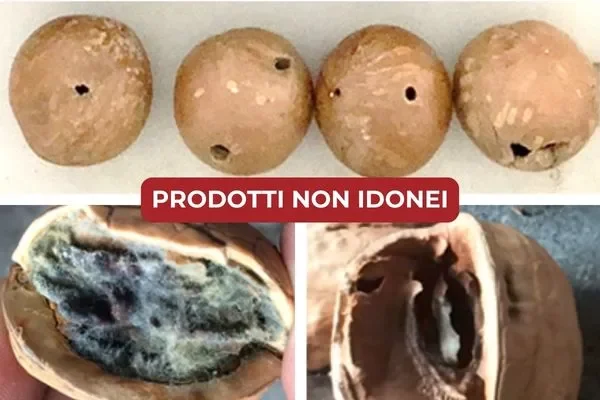 controllo qualità prodotti alimentari