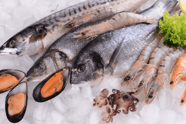 varietà di pesce congelato