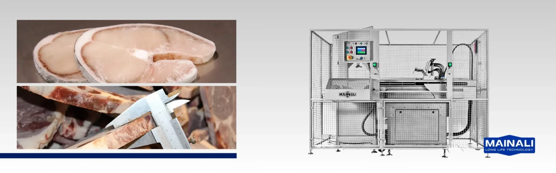 Sega Automatica Carne e Pesce