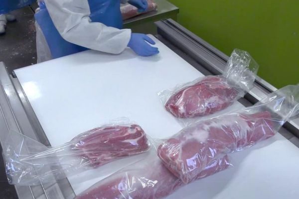 Split Belt per uso singolo operatore